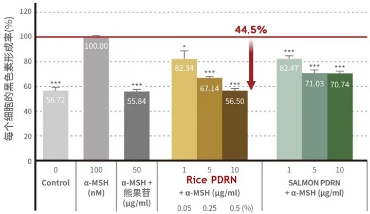 Bar chart showing the percentage of each cell's melanin formation under different conditions including control, alpha-MSH, alpha-MSH with bears fruit, alpha-MSH with rice PDRN at varying concentrations, and alpha-MSH with salmon PDRN at varying concentrations.